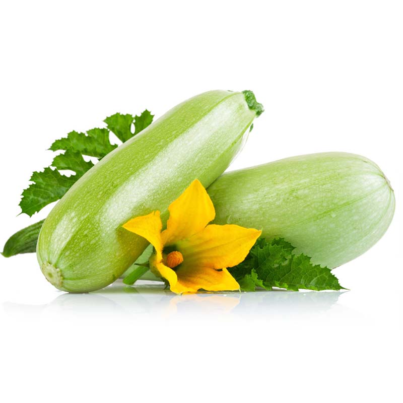 غذای رژیمی با کدو را یاد بگیرید