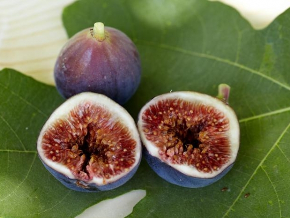 یکی دیگر از خواص انجیر سیاه کمک به کاهش وزن است