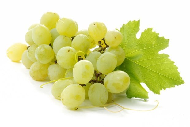 با خواص انگور در بارداری اشنا شوید