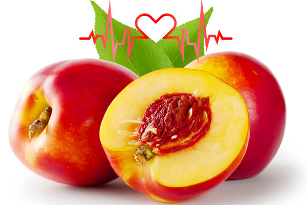 شلیل نگهبان قلب شما