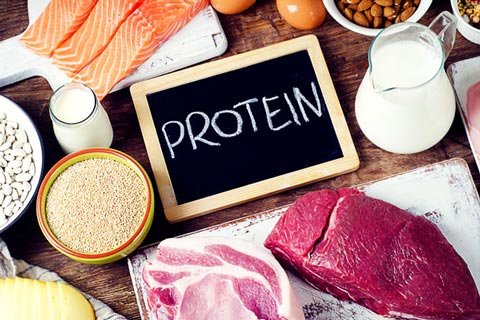 protein diet for slimming