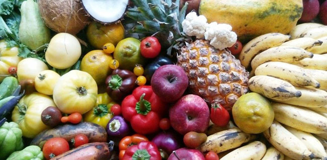 رژیم لاغری با میوه چه تاثیری بر سلامت بدن دارد؟