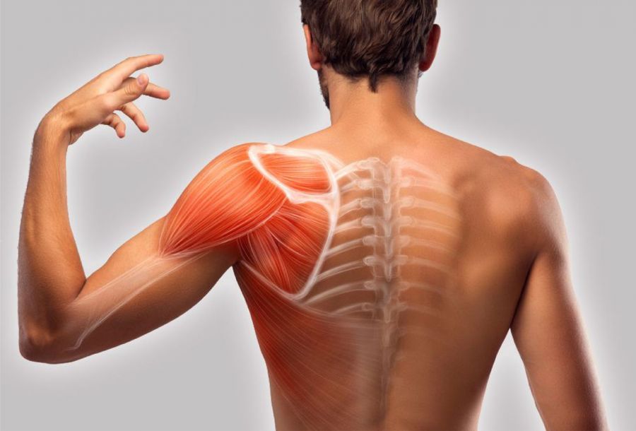 بهبود شانه های نامتقارن با ورزش