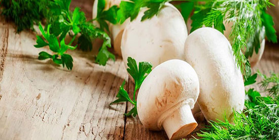 خواص دارویی قارچ در پیشگیری از سرطان پروستات در مردان