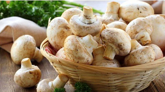 خواص دارویی قارچ در پیشگیری از سرطان پروستات