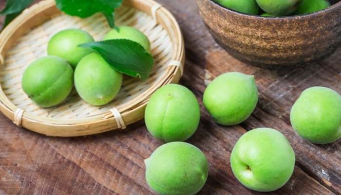 رژیم لاغری سریع بلغمی ها نیز مثل سایر افراد همراه با صرف برخی از دمنوشهاست