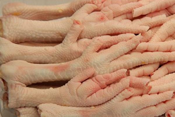 خواص پای مرغ برای پوست