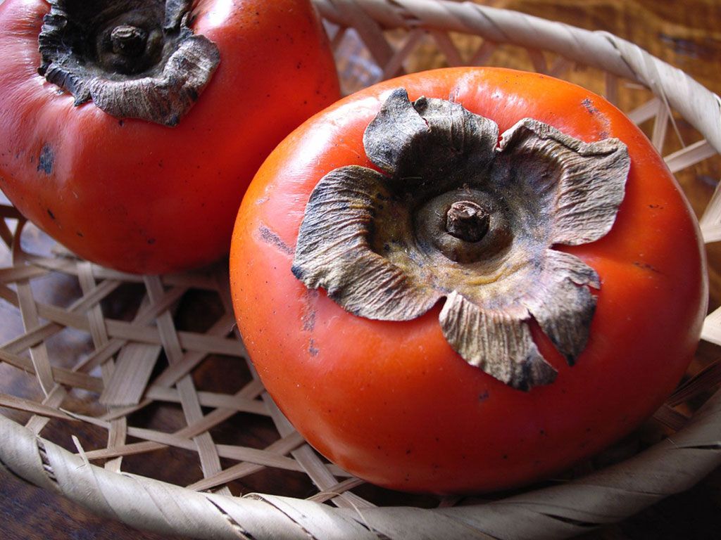 خواص خرمالو در بارداری خواص خرمالو در دوران بارداری