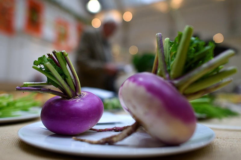 یکی از خواص شغلم پاک‌سازی خون است