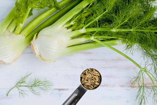 fennel-tea-for-obesity