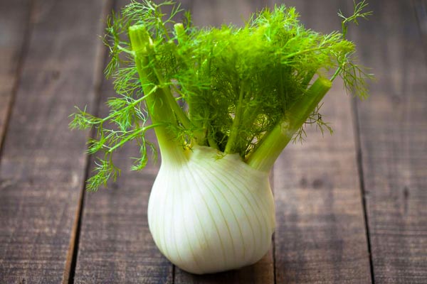 fresh-fennel