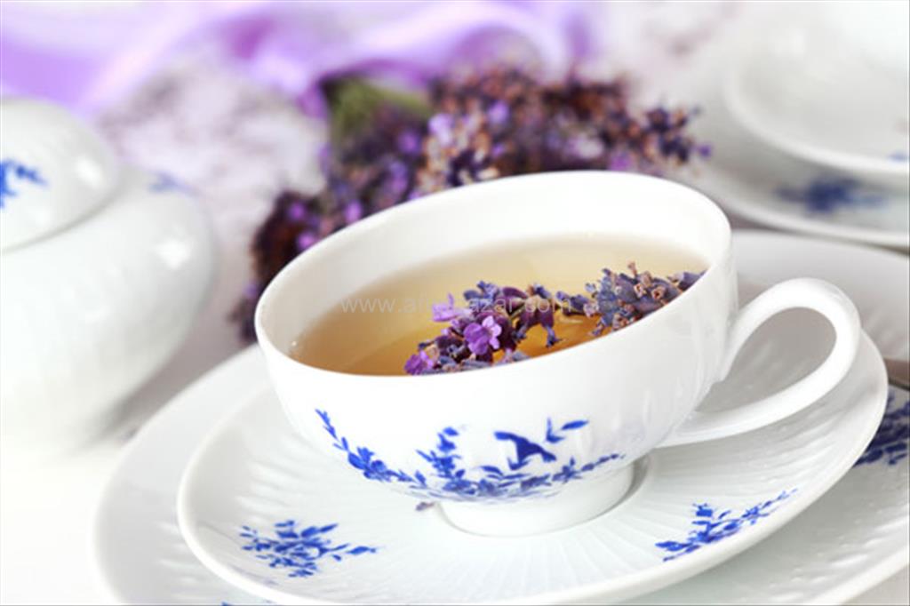 خواص اسطوخودوس در بارداری