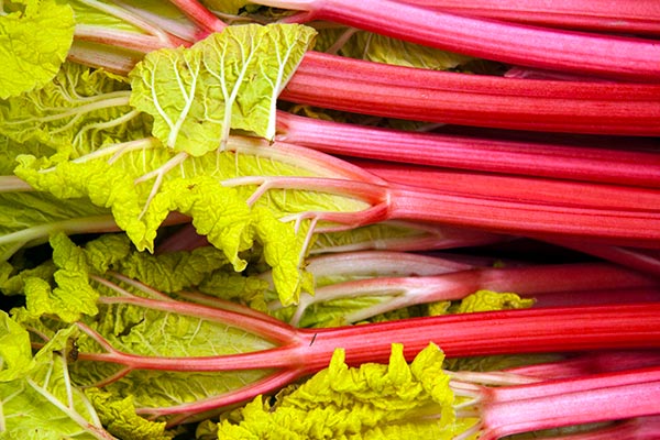 Rhubarb 2