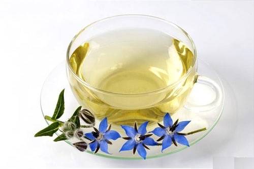 خواص گل گاو زبان برای درمان آلرژی