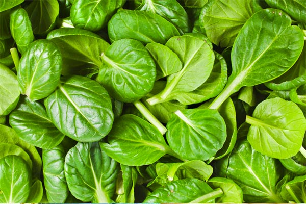 Vegetables-for-happiness