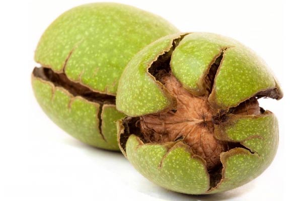 خواص گردوی تازه برای داشتن خوابی آرام