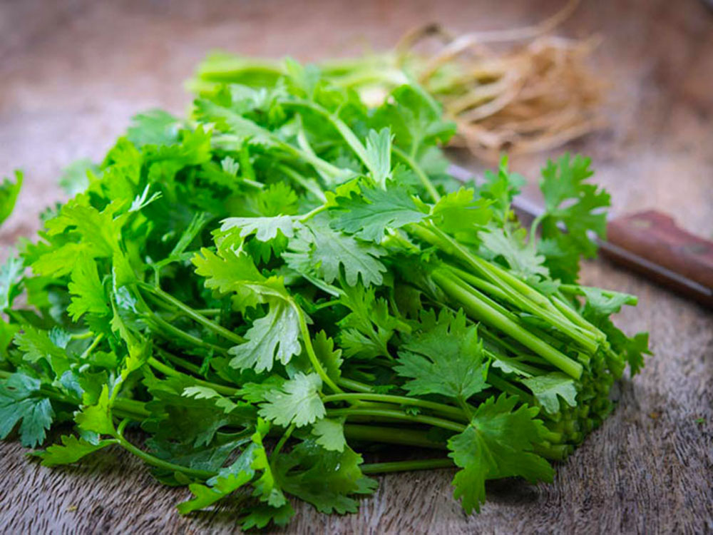 خواص جعفری تازه / خاصیت جعفری / خواص جعفری