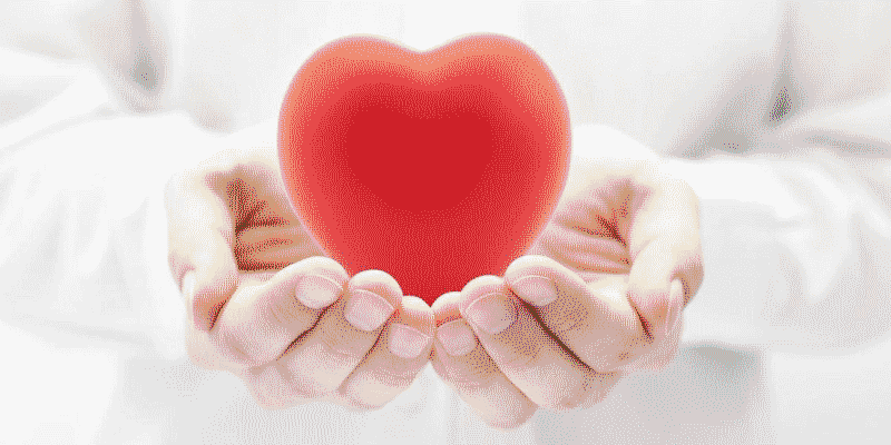 8 نواع از غذاهای مفید برای قلب در طب سنتی