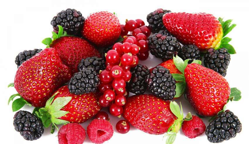 غذاهای مفید برای قلب در طب سنتی / غذای مفید برای قلب