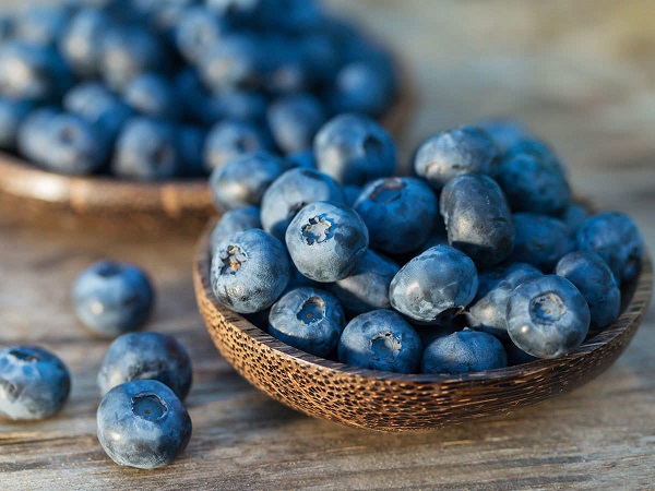 بلوبری و لاغری