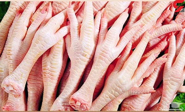 خواص پای مرغ