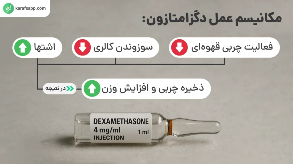 مکانیسم عمل دگزامتازون