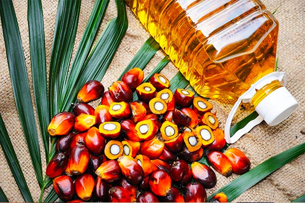 Learn-more-about-palm-oil