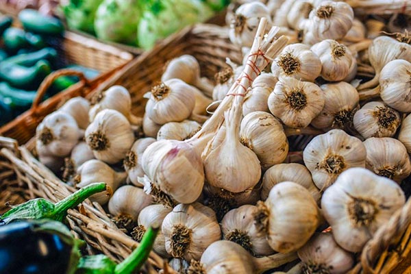 Garlic-for-fatty-liver