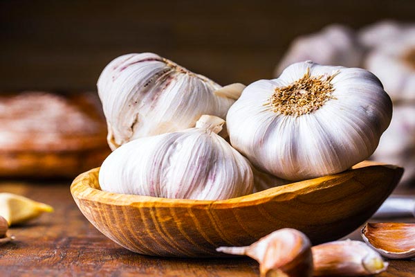 properties-of-garlic