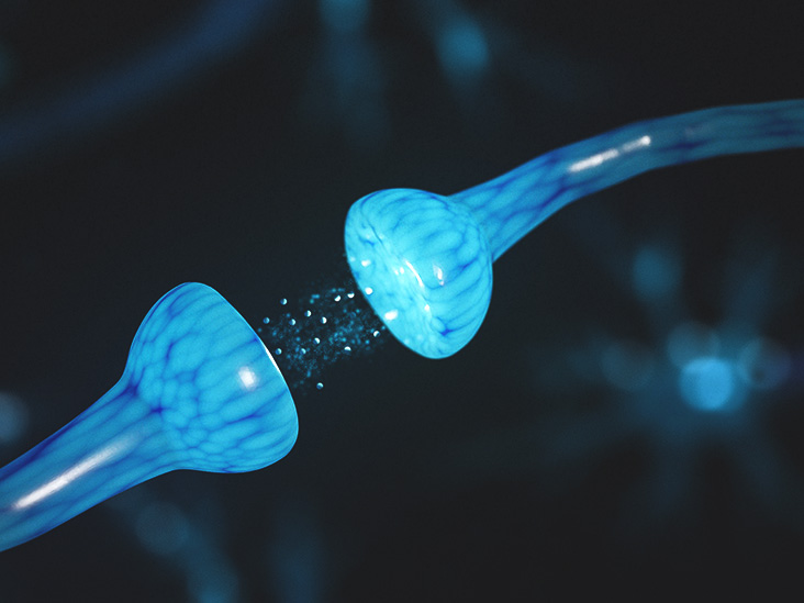 چگونه دوپامین را افزایش دهیم | تاثیر داروهای افزایش دهنده دوپامین مغز