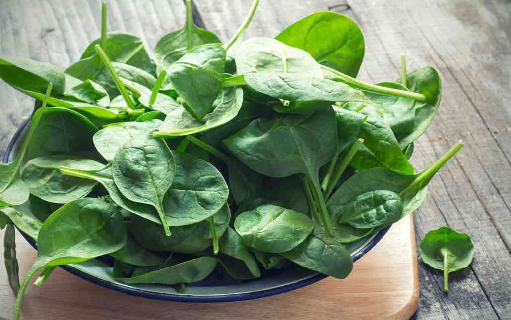 اسفناج به درمان کم خونی کمک نمی‌کند