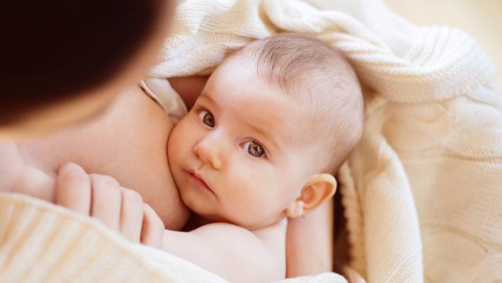 درمان ماستیت عفونی