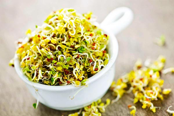 خواص جوانه حبوبات