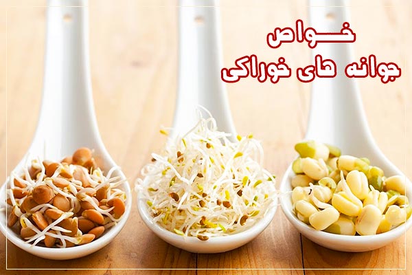 خواص جوانه های خوراکی