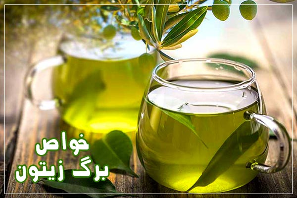طرز تهیه دمنوش برگ زیتون