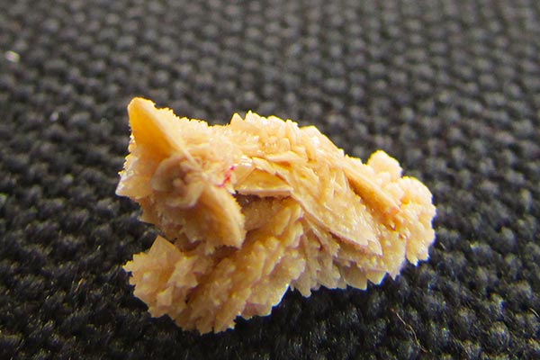 چرا کلیه سنگ ساز میشود