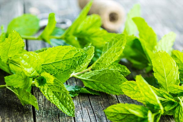 درمان سردرد میگرنی