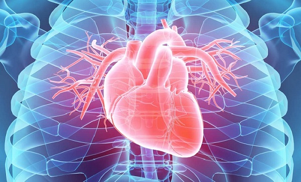 درمان گرفتگی رگهای قلب