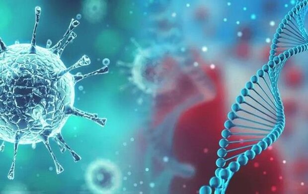 غذاهای مفید برای دوران نقاهت کرونا