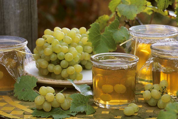 نحوه مصرف آبغوره برای کاهش چربی