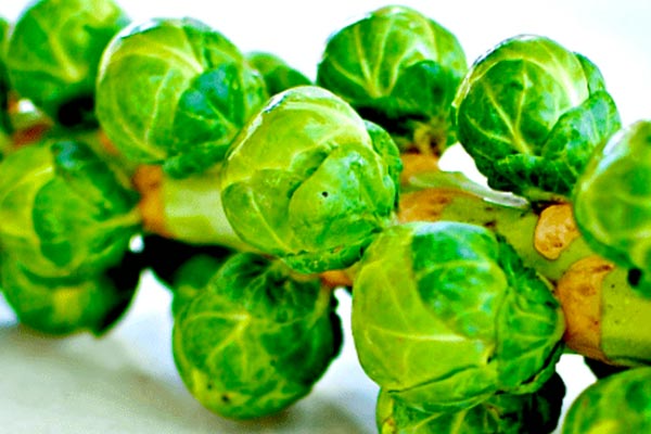 نحوه شستن کلم بروکسل