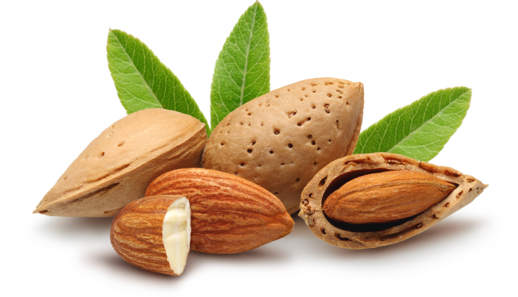 پودر بادام برای کودک