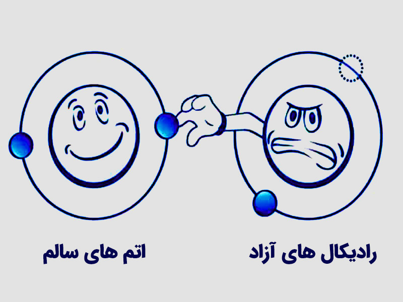 رادیکال های آزاد بدن چیست 