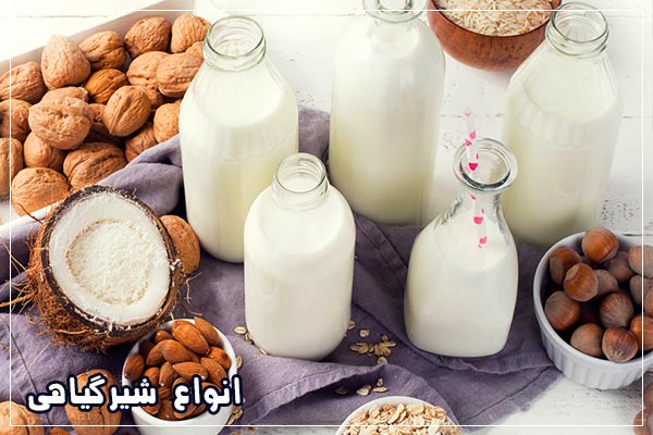 طرز تهیه شیر گیاهی