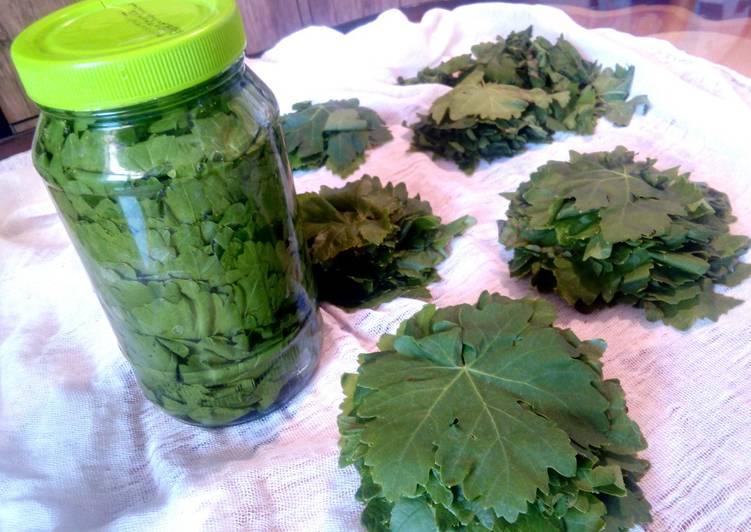 طرز استفاده از برگ مو شور