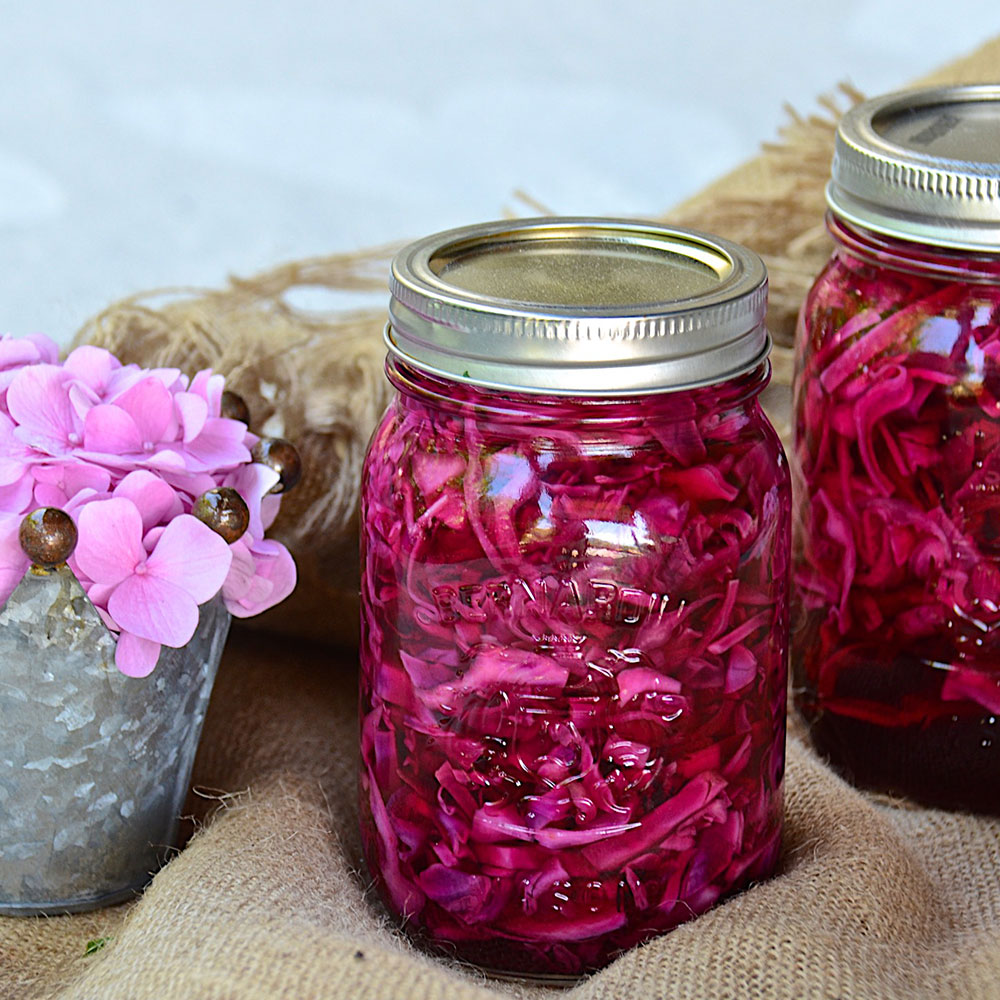 ترشی کلم قرمز با سرکه سیب 