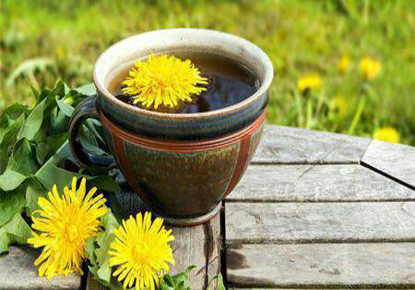 ریشه قاصدک برای چی خوبه