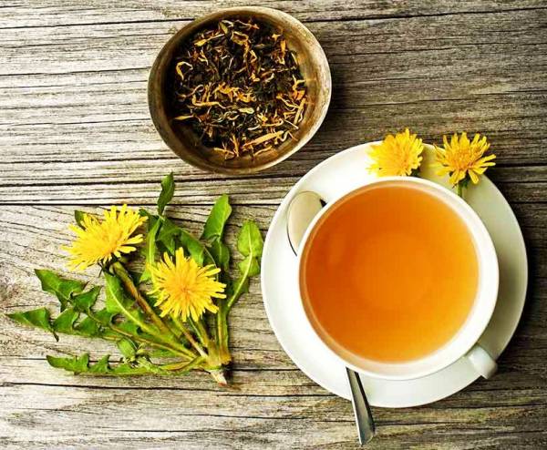 خواص ریشه قاصدک جلوگیری از روند پیری