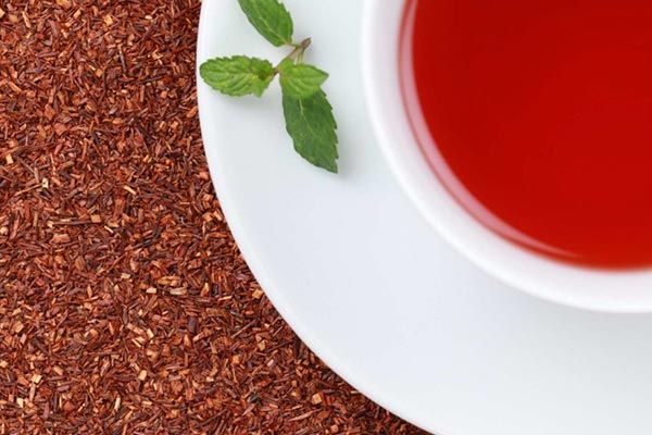 چای رویبوس را از کجا تهیه کنیم