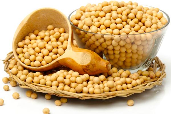 سویا آجیلی برای تیروئید